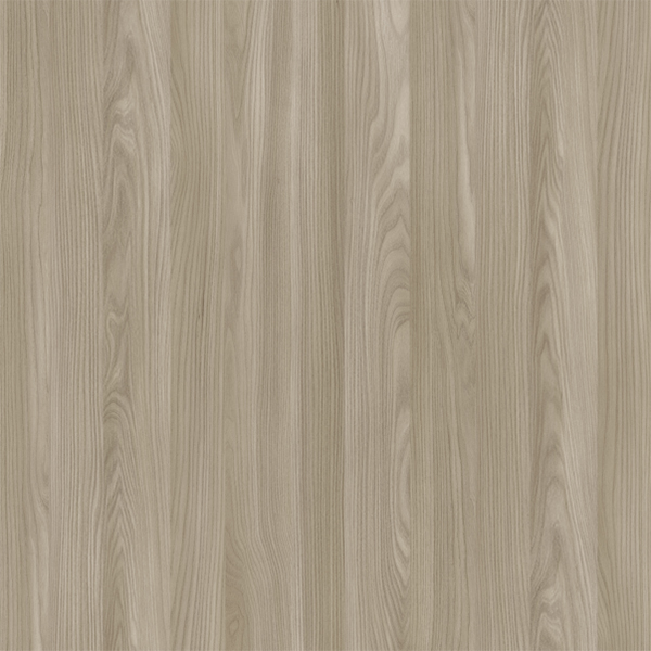 E11017 Panxia Elm