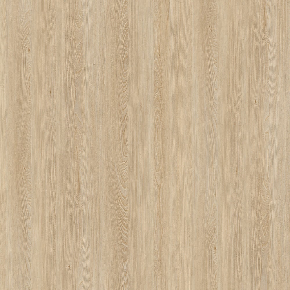 E11032 Caucasus Elm