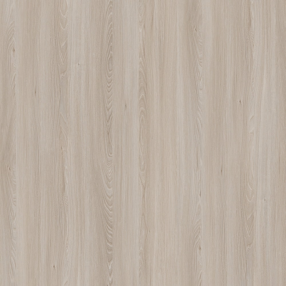 E11032 Caucasus Elm